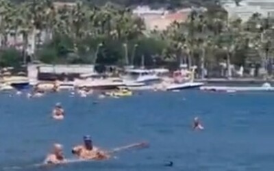 VIDEO: Muži v Turecku zbili žraloka mopem, blížil se k pláži plné dětí
