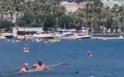 VIDEO: Muži v Turecku zbili žraloka mopem, blížil se k pláži plné dětí