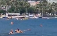 VIDEO: Muži v Turecku zbili žraloka mopom na umývanie, blížil sa k pláži plnej detí