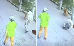 Video: Muži spadla na hlavu kočka. V nemocnici strávil 23 dní