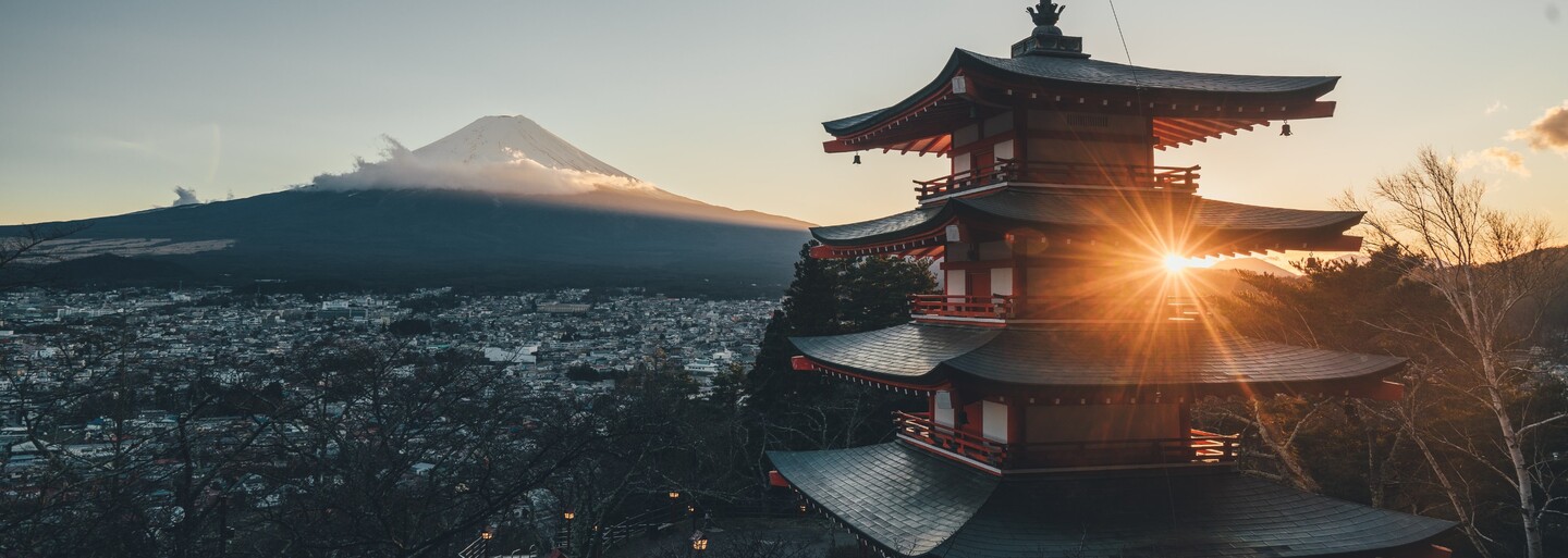 VIDEO: V Japonsku testujú vybavenie pre šváby kyborgy. V budúcnosti môžu pomôcť pri záchrane ľudí spod trosiek budov