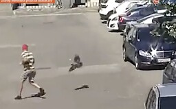 VIDEO: V Malackách zaútočila na muža agresívna vrana. Musel pred ňou utekať