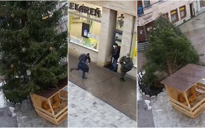 VIDEO: V Ružomberku sa za bieleho dňa zrútil 10-metrový vianočný strom. Ako zázrakom sa nikomu nič nestalo