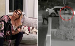 VIDEO: Výstrel z pištole do hrude. Takto Lady Gaga ukradli vzácnych psov, keď postrelili muža, ktorý ich chodieva venčiť