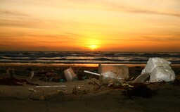 Vláda schválila zákaz jednorázových plastových příborů, talířů a brček