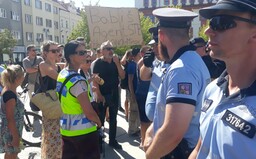 Vondrášek: Použití donucovacích prostředků proti ženě v Českém Krumlově bylo oprávněné