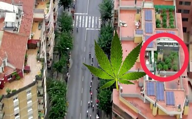 Vrtuľník odhalil plantáž marihuany na streche domu počas cyklistických pretekov Vrtuľník odhalil plantáž marihuany na streche domu počas cyklistických pretekov
