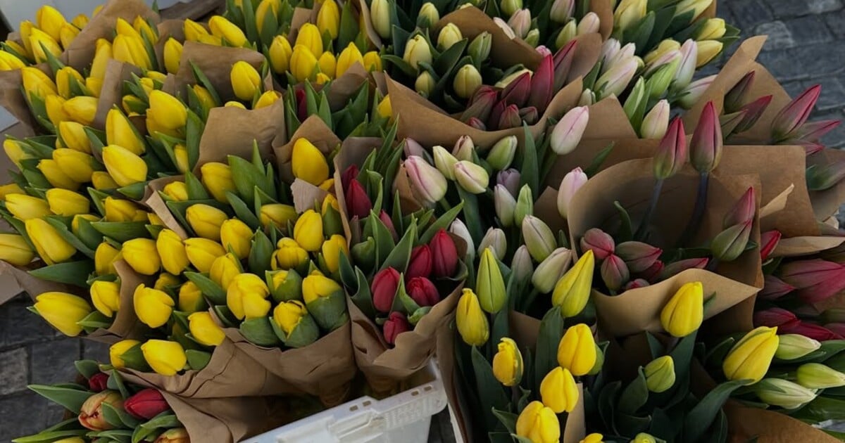 Kytice z automatu? České květinářství přichází s velkou novinkou