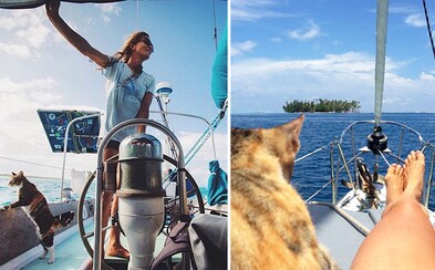 Vykašlala se na práci a vydala se na plavbu po celém světě. Liz dělá společnost roztomilá kočka a nekonečné moře Vykašlala se na práci a vydala se na plavbu po celém světě. Liz dělá společnost roztomilá kočka a nekonečné moře
