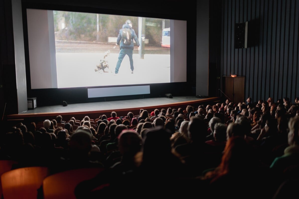 Promítání filmu na festivalu Ji.hlava.