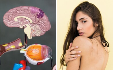 Women Who Have More Sex Have Better Developed Brains, A New Study Has Found