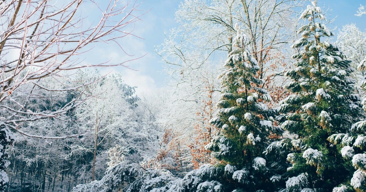 Čekají nás bílé Vánoce? Podle meteorologů na Štědrý den nějaká ta vločka spadne