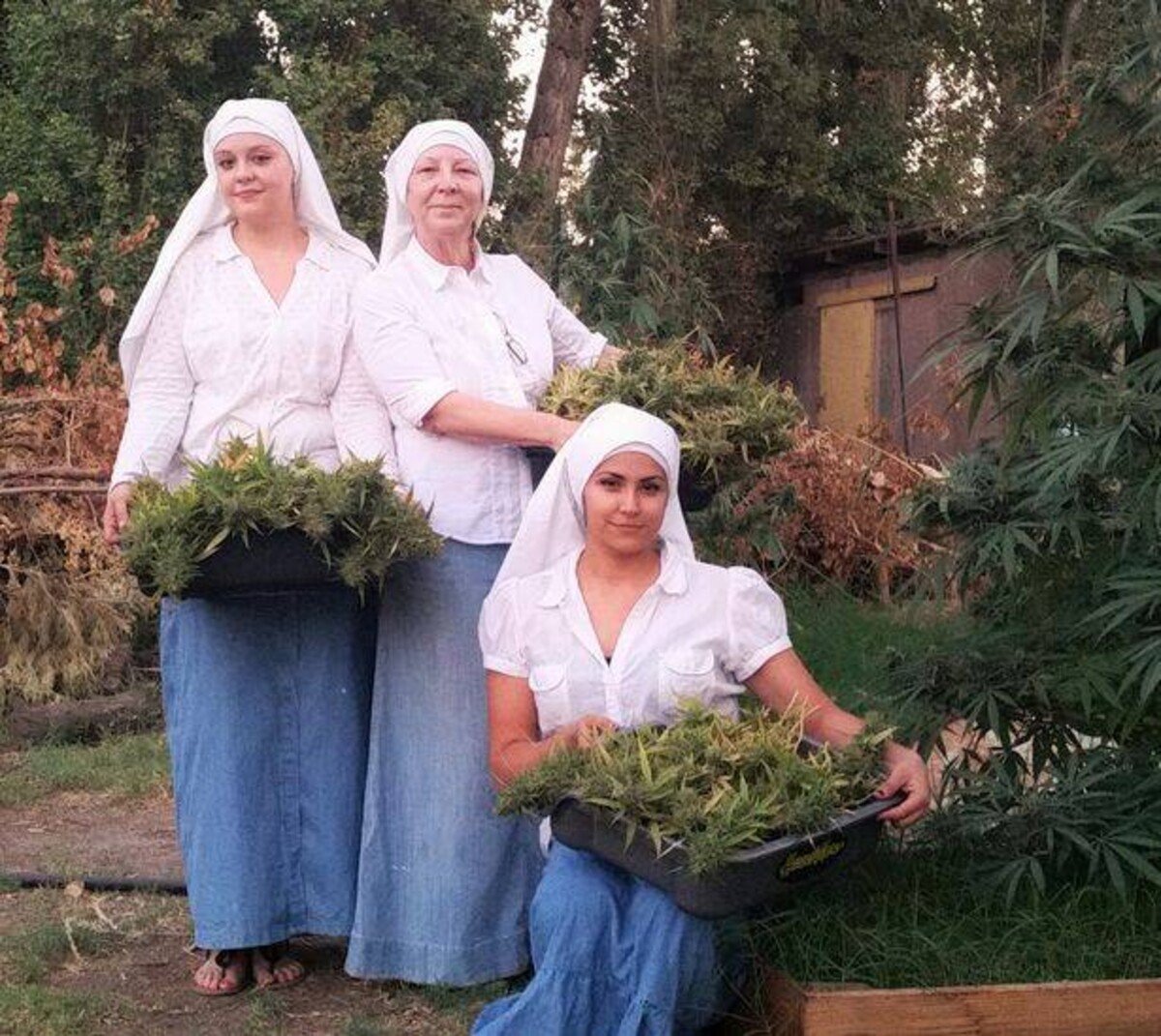 weed nuns