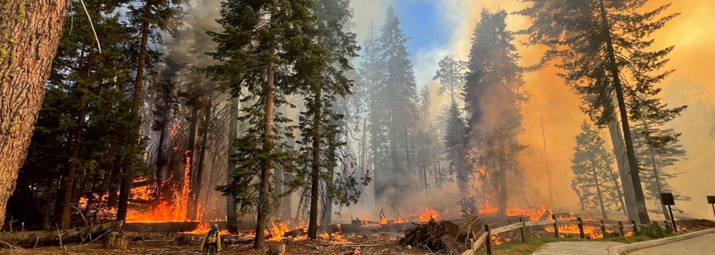 Yosemitský národní park je v plamenech, požár ohrožuje i obří sekvoje