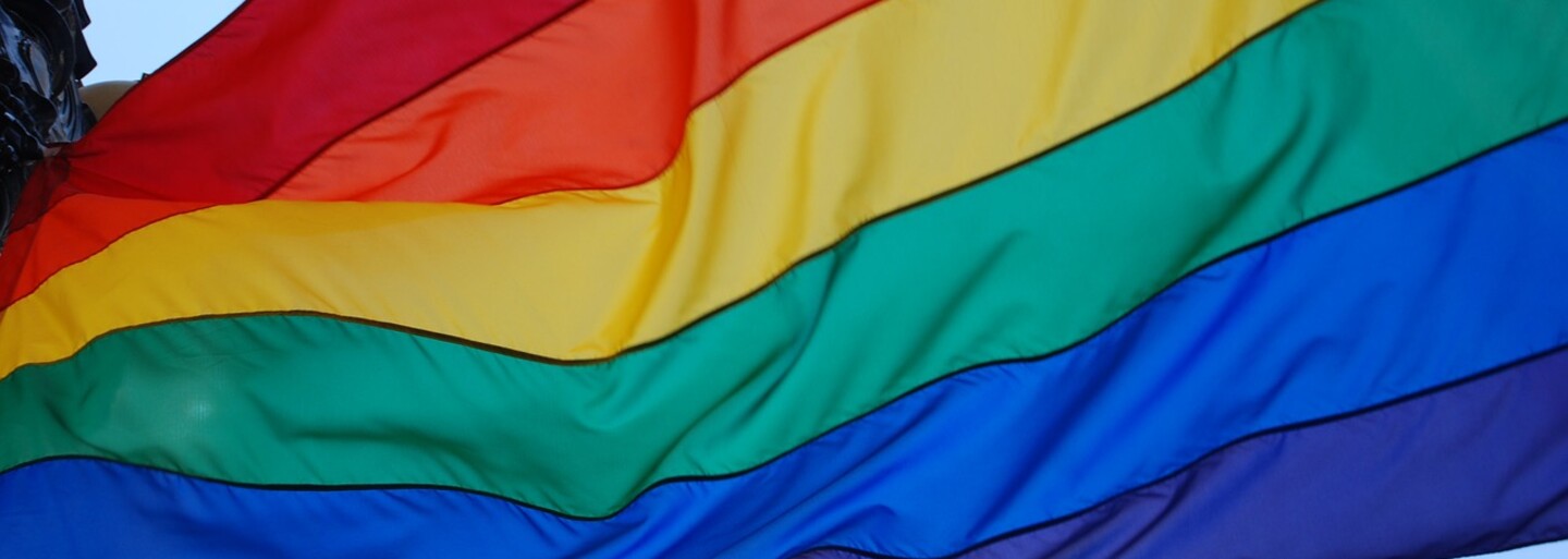 Z detí vychovaných v lesbických rodinách vyrastajú rovnakí dospeláci ako z potomkov heterosexuálov