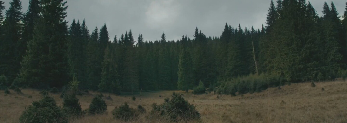 Příběh, který inspiroval 4. řadu Stranger Things: Vražda tří malých dětí a panika ze satanismu