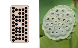 Z iPhonu 11 Pro majú hrôzu. Pohľad na trojicu fotoaparátov nerobí dobre ľuďom s tripofóbiou