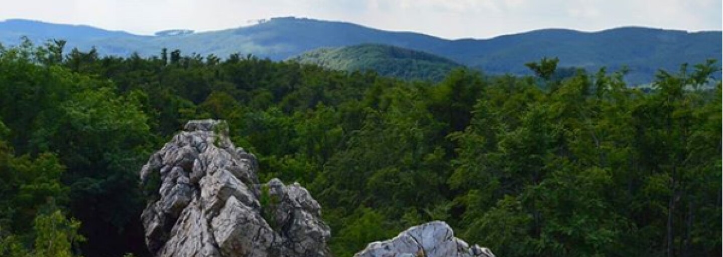 Z novej rozhľadne dovidíš až na rakúske Alpy či Moravu. Vyrastie neďaleko Pezinku