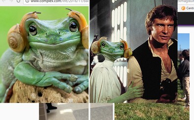 Žaba vyzerajúca ako princezná Leia zo Star Wars sa stala obeťou Photoshopu. Užívatelia internetu sa s ňou bláznivo vyhrali Žaba vyzerajúca ako princezná Leia zo Star Wars sa stala obeťou Photoshopu. Užívatelia internetu sa s ňou bláznivo vyhrali