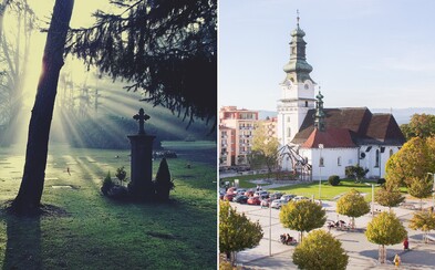 Zabudni na drahé pomníky. Na Slovensku vznikol prvý prírodný cintorín, zosnulí budú oddychovať pod stromami Zabudni na drahé pomníky. Na Slovensku vznikol prvý prírodný cintorín, zosnulí budú oddychovať pod stromami