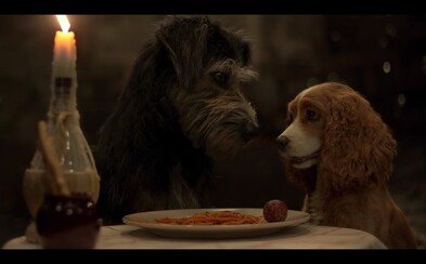 Zamilovaní psi Lady a Tramp se ukázali v prvním traileru. V hraném filmu nebude chybět ani ikonická špagetová scéna Zamilovaní psi Lady a Tramp se ukázali v prvním traileru. V hraném filmu nebude chybět ani ikonická špagetová scéna