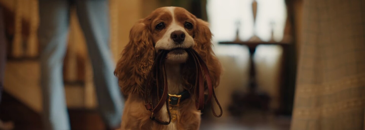 Zaľúbenci Lady a Tramp sa ukázali v prvom traileri. V hranom filme nebude chýbať ani ikonická špagetová scéna