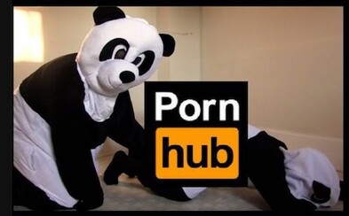 Zasexuj si a zachraň díky tomu pandu. Pokud na Pornhub nahraješ erotické video v kostýmu pandy, pornostránka štědře přispěje na osud zvířat Zasexuj si a zachraň díky tomu pandu. Pokud na Pornhub nahraješ erotické video v kostýmu pandy, pornostránka štědře přispěje na osud zvířat