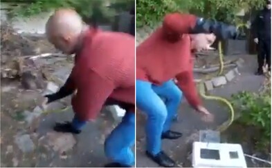 Zelenou mambu popadl odborník během pár sekund do ruky a uklidil ji do bedny. Podívejte se na video z odchytu hada Zelenou mambu popadl odborník během pár sekund do ruky a uklidil ji do bedny. Podívejte se na video z odchytu hada