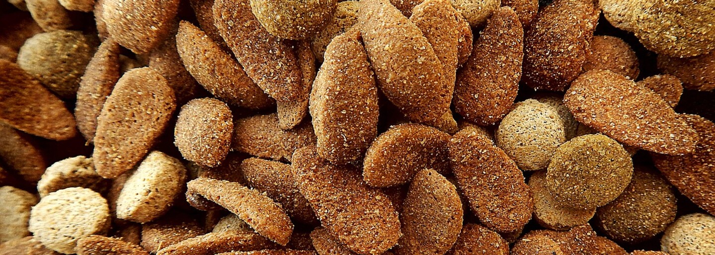 Žena tvrdila, že jej pes je vegetarián. Po experimente v televíznej šou ju ľudia vysmiali