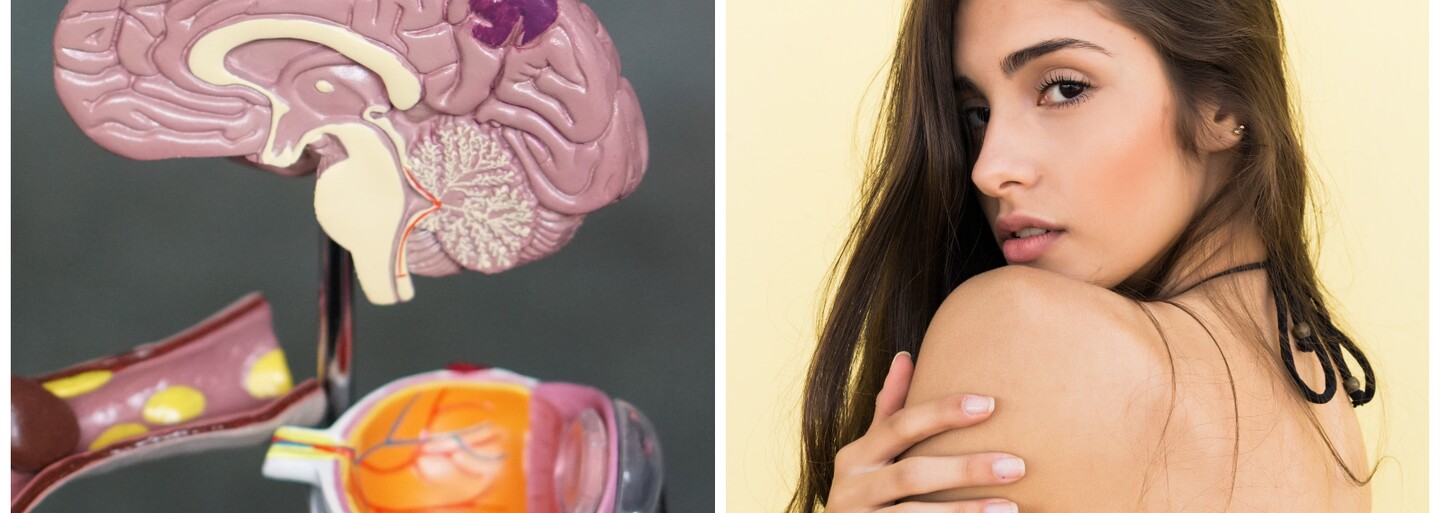 Ženy, které mají více sexu, mají lépe vyvinutý mozek, tvrdí nová studie
