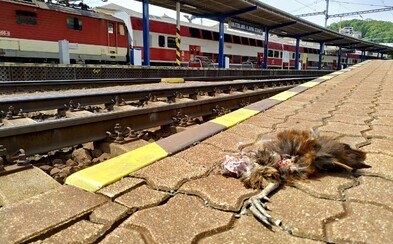 Zlá vizitka Bratislavy pred hokejovými MS. Čierna stavba, ošarpaná história či pozliepaná stanica Zlá vizitka Bratislavy pred hokejovými MS. Čierna stavba, ošarpaná história či pozliepaná stanica