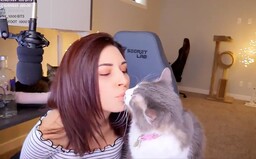 Známá streamerka surově odhodila kočku ze stolu. Předtím jí dávala pít vodku z vlastních úst