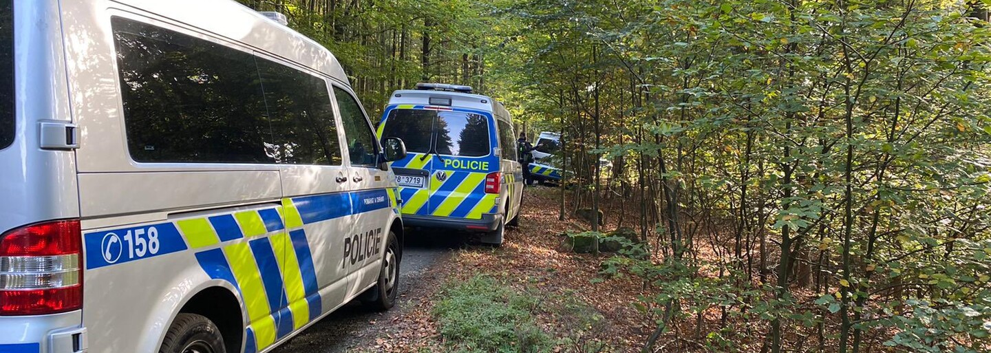 Ztracenou osmiletou holčičku našel na Domažlicku hajný. Byla prochladlá a dezorientovaná