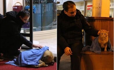Zubár po pracovnej dobe zachraňuje mačky a psy v núdzi. Dáva im deky, aby prežili mínusové teploty na ulici Zubár po pracovnej dobe zachraňuje mačky a psy v núdzi. Dáva im deky, aby prežili mínusové teploty na ulici
