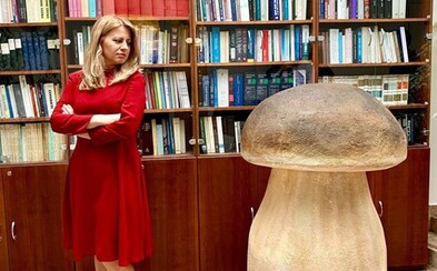 Zuzana Čaputová, Sajfa ani Zomri nebudú držať hubu. Čo sa skrýva za fotkami influencerov, ktoré pribúdajú na sociálnych sieťach? Zuzana Čaputová, Sajfa ani Zomri nebudú držať hubu. Čo sa skrýva za fotkami influencerov, ktoré pribúdajú na sociálnych sieťach?