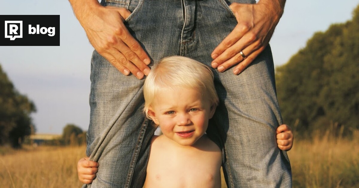 Steve Biddulph Kniha o mužství Refresher blog