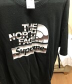 Supreme X The North Face Metallic Logo Tee