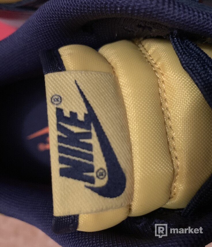 Nike Dunk Low “ Michigan”