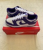 Nike Dunk Retro Low Court Purple
