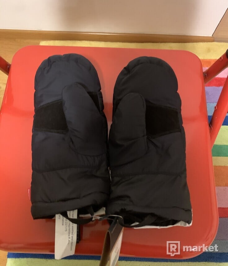 Supreme x the north face gloves