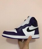 Jordan 1 court purple