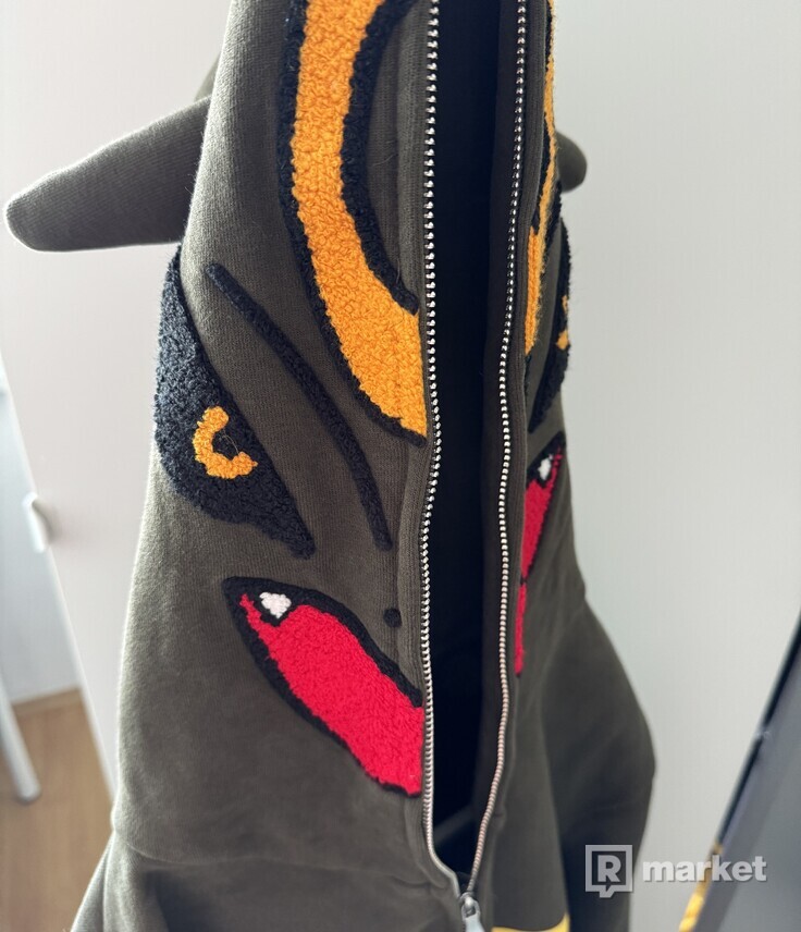 Kanto Starter Rayquaza hoodie