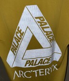 Palace x Arc’Teryx Tee