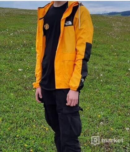 The North face mountain jacket