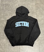 Section hoodie