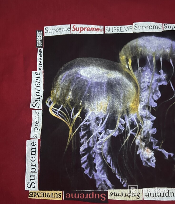 Supreme jellyfish