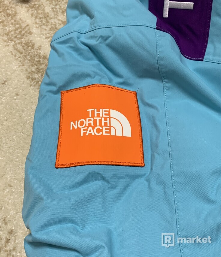 TNF TEA Expedition Parka jacket