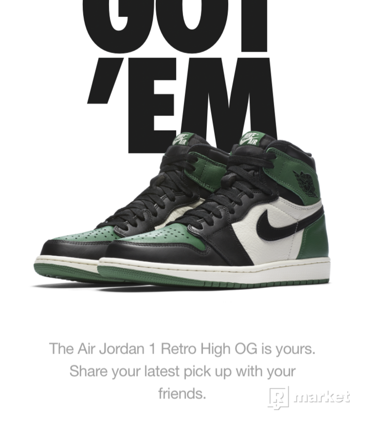 Nike Air Jordan 1 - Court Green (very limited)