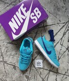 Nike Sb Dunk Low Pro "Blue Fury"