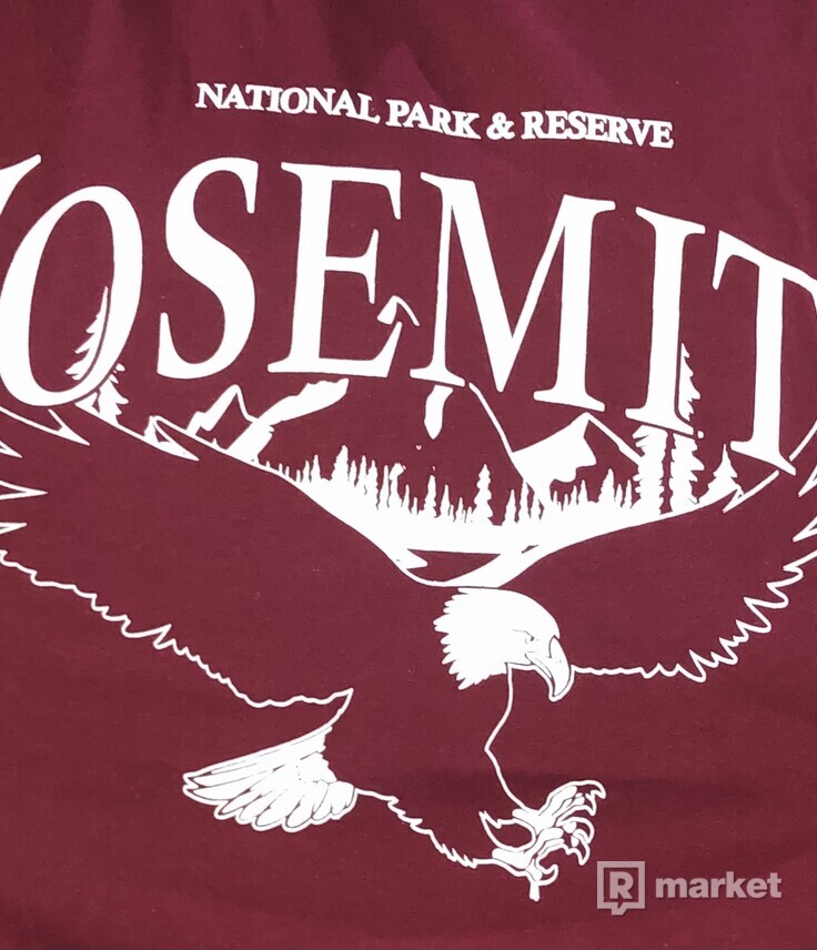 Yosemite oversized tee